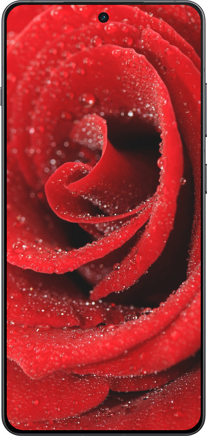 TPU чехол Красная роза для OnePlus Ace 5 - 529b-4087 изображение 