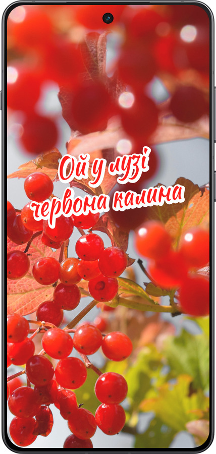 TPU чехол Калина для OnePlus 13R 5G - 5454b-3922 изображение 