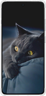 Силикон с усиленными углами чехол Дымчатый кот для OnePlus Ace 5 - 825sp-4087 изображение 