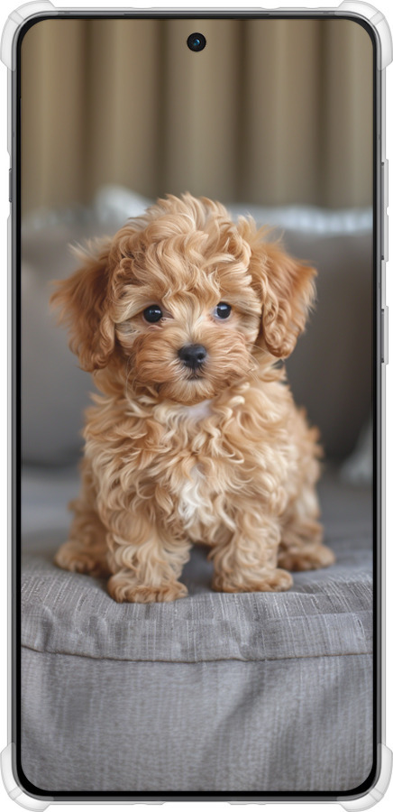 Силикон с усиленными углами чехол Mini-maltipoo для OnePlus Ace 5 - 6158sp-4087 изображение 