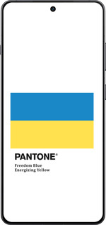 Силиконовый чехол Прапор Пантон для OnePlus Ace 5 Pro - 5275u-3934 изображение 