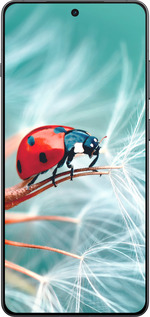 Силиконовый чехол Божья коровка для OnePlus Ace 5 - 6049u-4087 изображение 
