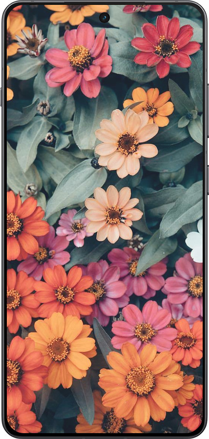 Силіконовий чехол Beauty flowers для OnePlus Ace 5 Pro - 4050u-3934 изображение 
