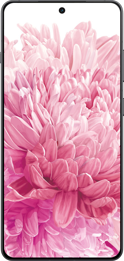 Силиконовый чехол Хризантема для OnePlus 13R 5G - 4666u-3922 изображение 