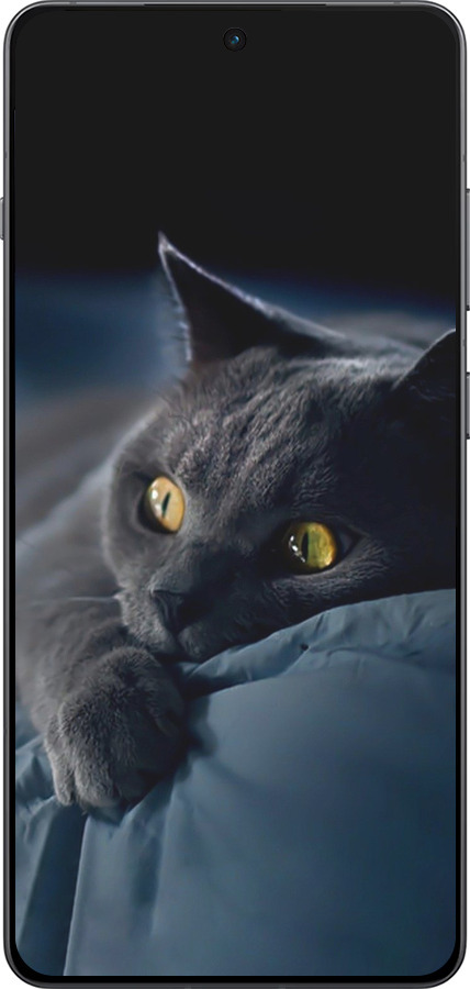 Силіконовий чехол Димчастий кіт для OnePlus Ace 5 - 825u-4087 изображение 