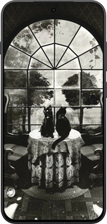 Силиконовый чехол Череп и коты для OnePlus 13T 5G / 13S 5G - 6432u-4026 изображение 