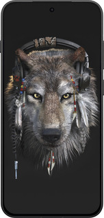 Силиконовый чехол Волк-меломан для OnePlus 13T 5G / 13S 5G - 875u-4026 изображение 