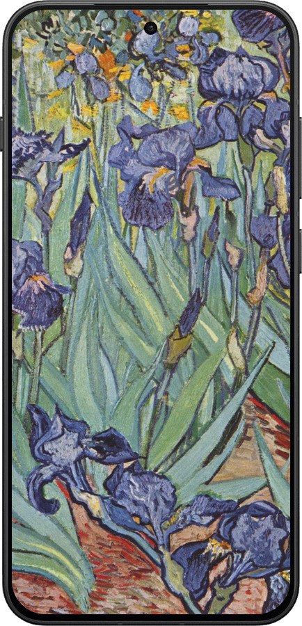 Силиконовый чехол Винсент Ван Гог. Ирисы для OnePlus 13T 5G / 13S 5G - 161u-4026 изображение 