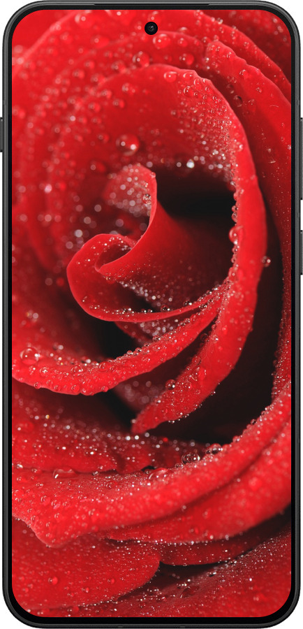 Силіконовий чехол Червона троянда для OnePlus 13T 5G / 13S 5G - 529u-4026 изображение 