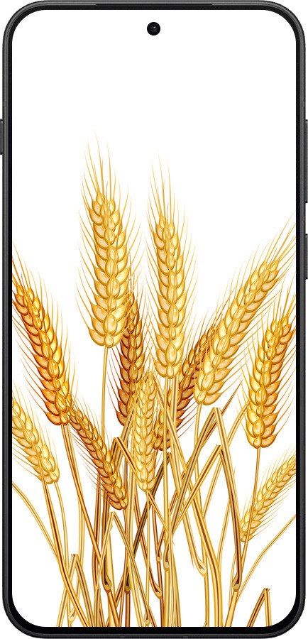 Силиконовый чехол Колоски пшеници для OnePlus 13T 5G / 13S 5G - 5866u-4026 изображение 