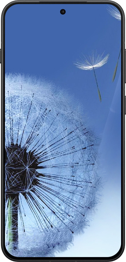 Силиконовый чехол Одуванчик для OnePlus 13T 5G / 13S 5G - 6005u-4026 изображение 