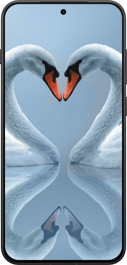 Силиконовый чехол Лебеди для OnePlus 13T 5G / 13S 5G - 6007u-4026 изображение 