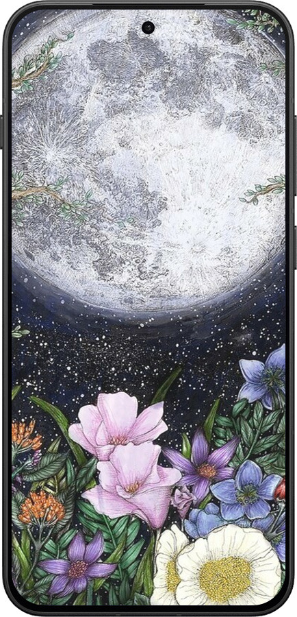 Силиконовый чехол Полночь в саду II для OnePlus 13T 5G / 13S 5G - 6424u-4026 изображение 