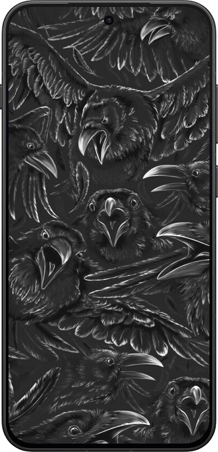 Силиконовый чехол Воронья ярость для OnePlus 13T 5G / 13S 5G - 6474u-4026 изображение 