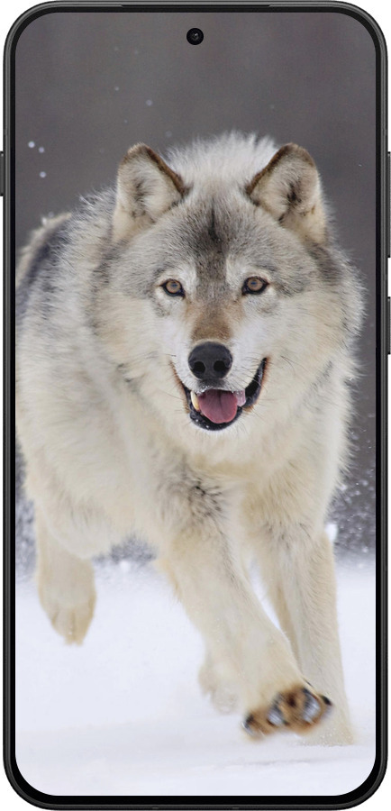 Силиконовый чехол Бегущий волк для OnePlus 13T 5G / 13S 5G - 826u-4026 изображение 