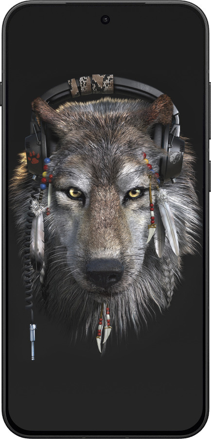Силиконовый чехол Волк-меломан для OnePlus 13T 5G / 13S 5G - 875u-4026 изображение 