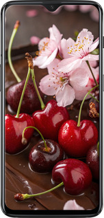 TPU чехол Вишня у шоколаді для OnePlus 6T - 6698b-1587 изображение 
