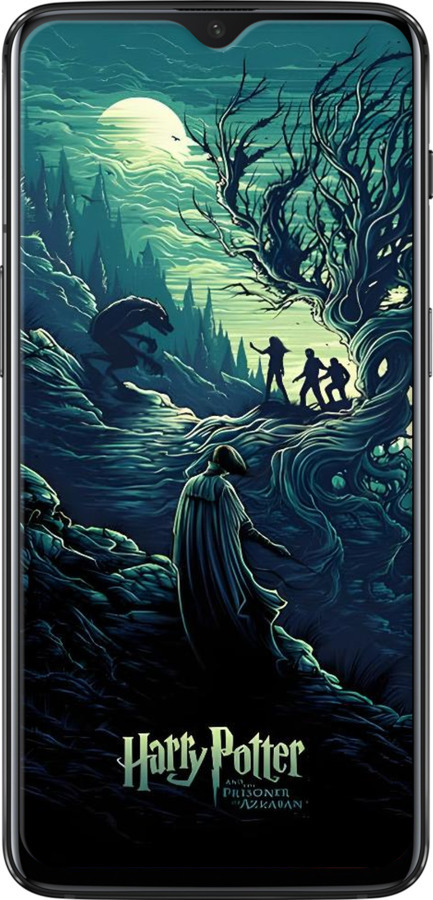 2D пластиковий чехол Гаррі Поттер 3 для OnePlus 6T - 6338t-1587 изображение 