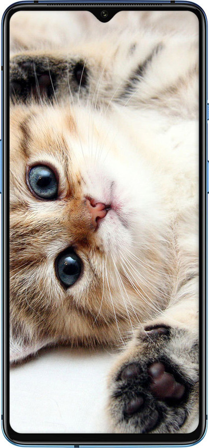 TPU чехол Котик для OnePlus 7T - 6024b-1809 изображение 