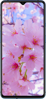 Силіконовий чехол Сакура для OnePlus 7T - 6029u-1809 изображение 