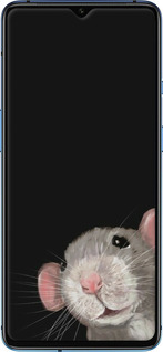 2D пластиковий чехол The Peeking Rat для OnePlus 7T - 6442t-1809 изображение 