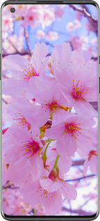 TPU чехол Сакура для OnePlus 8 Pro - 6029b-1896 изображение 