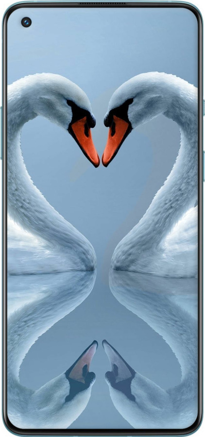 TPU чехол Лебеди для OnePlus 9R - 6007b-2326 изображение 
