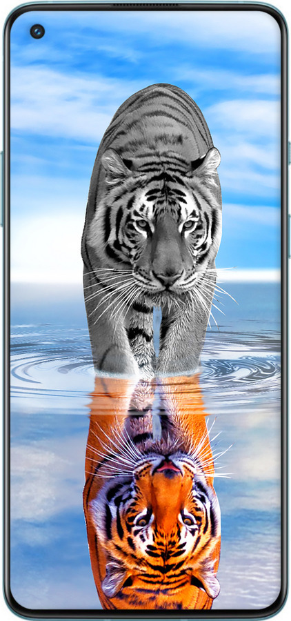 TPU чехол Тигр для OnePlus 9R - 6016b-2326 изображение 