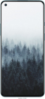 2D пластиковий чехол № 5406 для OnePlus 9R - 5406t-2326 изображение 