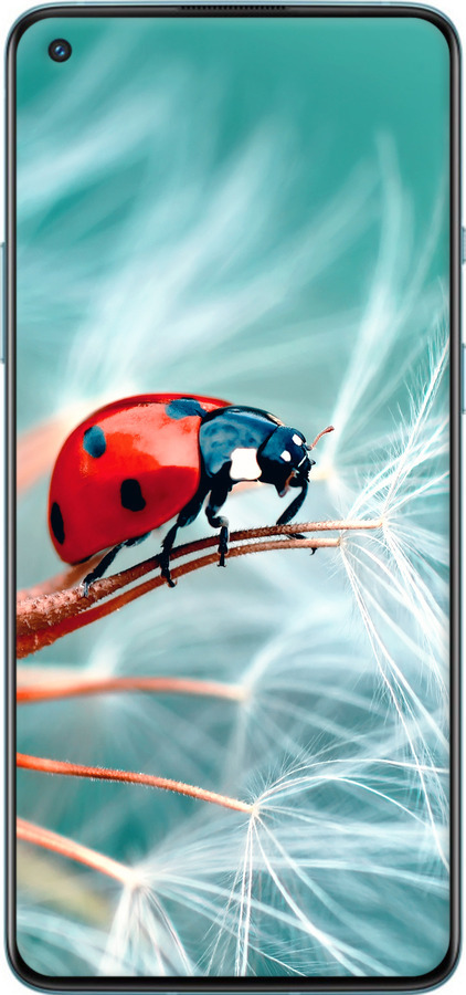 2D пластиковий чехол Сонечко для OnePlus 9R - 6049t-2326 изображение 