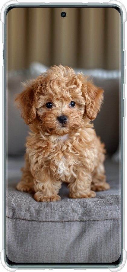 Силикон с усиленными углами чехол Mini-maltipoo для OnePlus Ace 2 Pro - 6158sp-3211 изображение 