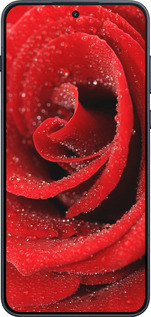 Силиконовый чехол Красная роза для OnePlus Ace 6 - 529u-4217 изображение 