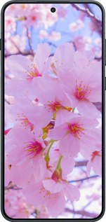 Силіконовий чехол Сакура для OnePlus 15R 5G - 6029u-4241 изображение 