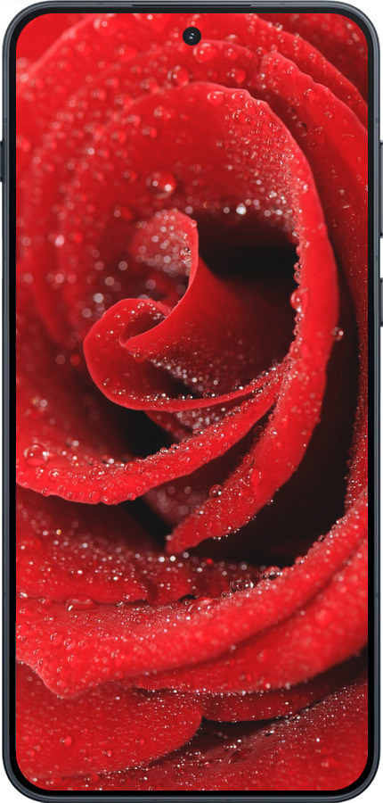 Силиконовый чехол Красная роза для OnePlus Ace 6 - 529u-4217 изображение 