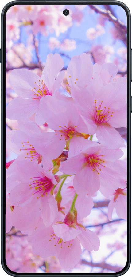 Силіконовий чехол Сакура для OnePlus 15R 5G - 6029u-4241 изображение 