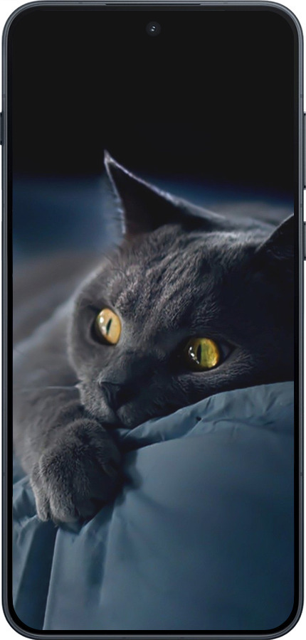Силиконовый чехол Дымчатый кот для OnePlus Ace 6 - 825u-4217 изображение 