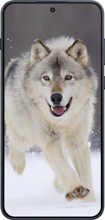 Силиконовый чехол Бегущий волк для OnePlus Ace 6T - 826u-4240 изображение 