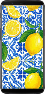 Силіконовий чехол Grocery Girl Italian Summer для OnePlus 5T - 6766u-1352 изображение 