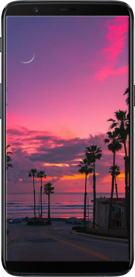 Силиконовый чехол Пальмы для OnePlus 5T - 5873u-1352 изображение 