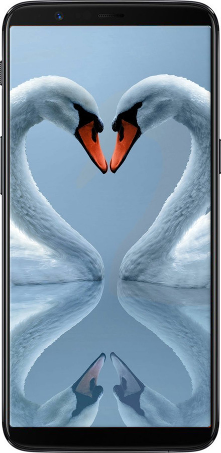 Силиконовый чехол Лебеди для OnePlus 5T - 6007u-1352 изображение 