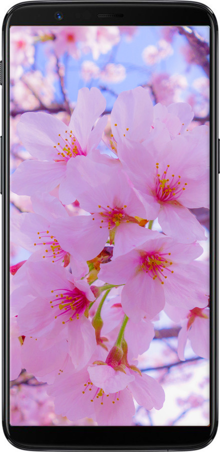 Силиконовый чехол Сакура для OnePlus 5T - 6029u-1352 изображение 