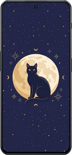Силиконовый чехол Cute Cat Celestial/Witchy для OnePlus Nord 3 - 6787u-3416 изображение 