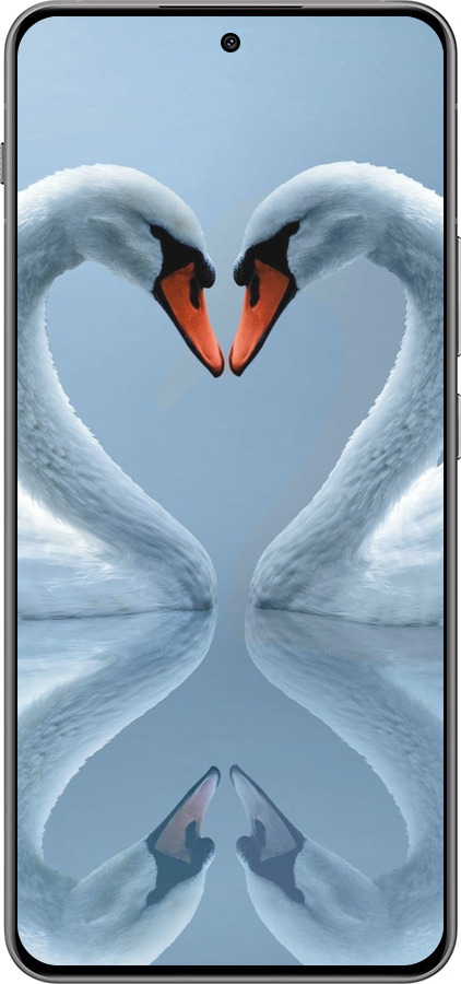 Силіконовий чехол Лебеді для OnePlus Nord 4 5G - 6007u-3790 изображение 