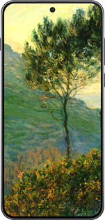 Силиконовый чехол Клод Моне для OnePlus Nord 5 5G - 1193u-4133 изображение 