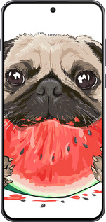 Силиконовый чехол Мопс и арбуз для OnePlus Nord 5 5G - 4665u-4133 изображение 