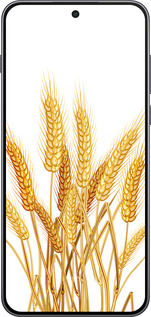 Силиконовый чехол Колоски пшеници для OnePlus Nord 5 5G - 5866u-4133 изображение 