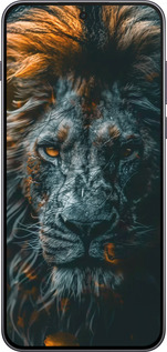 Силиконовый чехол Лев в сумерках для OnePlus Nord 5 5G - 6154u-4133 изображение 