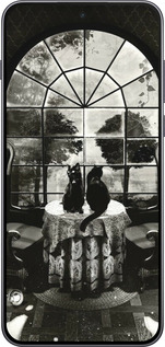 Силиконовый чехол Череп и коты для OnePlus Nord 5 5G - 6432u-4133 изображение 