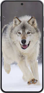 Силиконовый чехол Бегущий волк для OnePlus Nord 5 5G - 826u-4133 изображение 