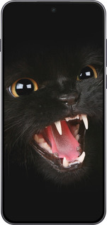 Силиконовый чехол Чёрная кошка для OnePlus Nord 5 5G - 932u-4133 изображение 